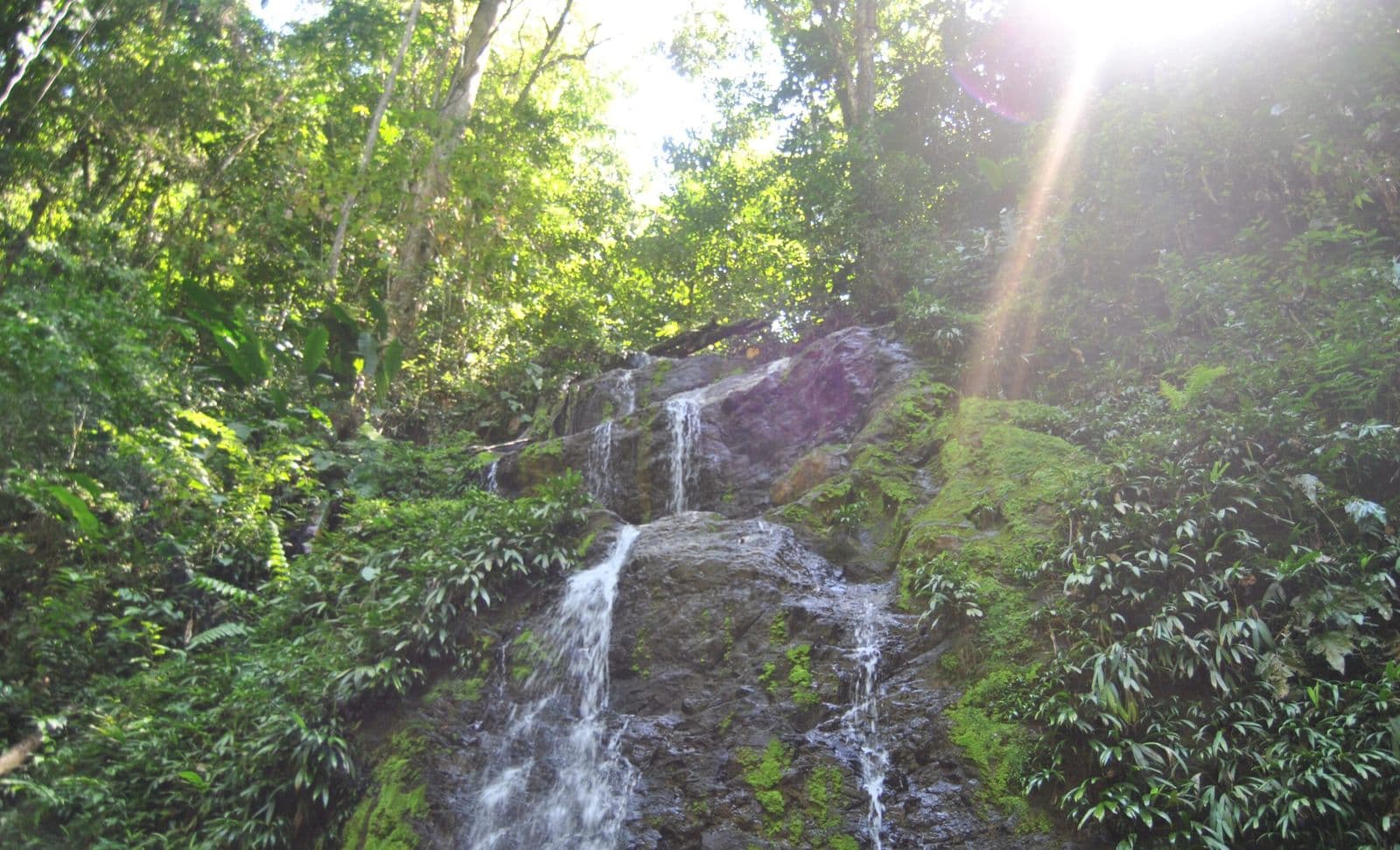 Waterval in Suriname